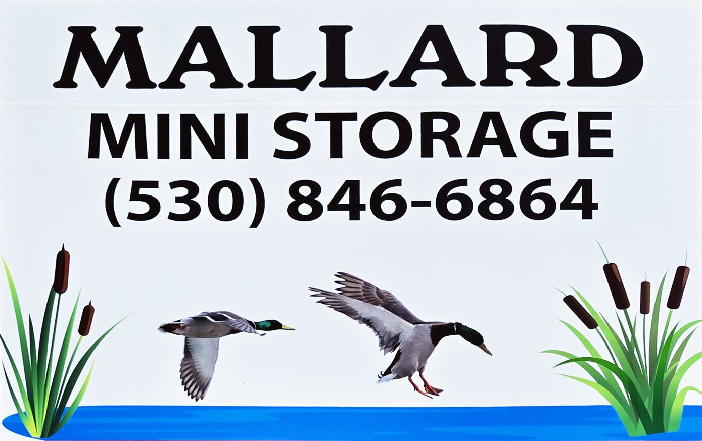Mallard Mini Storage logo